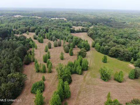 656 Sunset Dr, Coldwater, MS 38618 photo 15