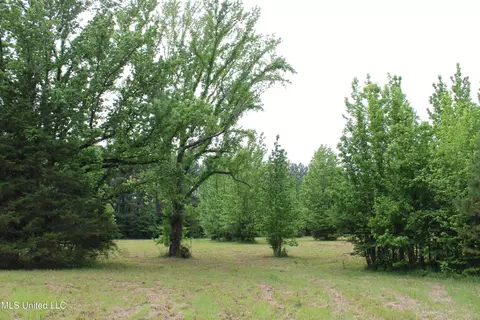 656 Sunset Dr, Coldwater, MS 38618 photo 24