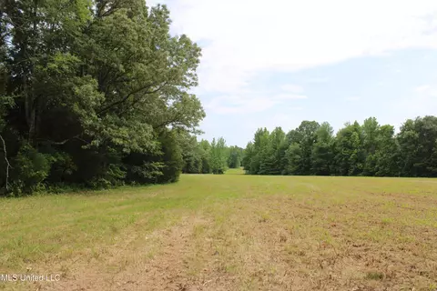 656 Sunset Dr, Coldwater, MS 38618 photo 21