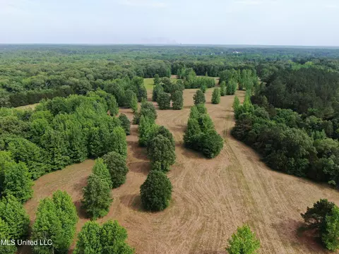 656 Sunset Dr, Coldwater, MS 38618 photo 4