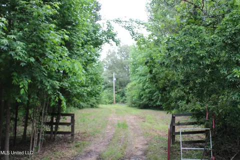656 Sunset Dr, Coldwater, MS 38618 photo 41