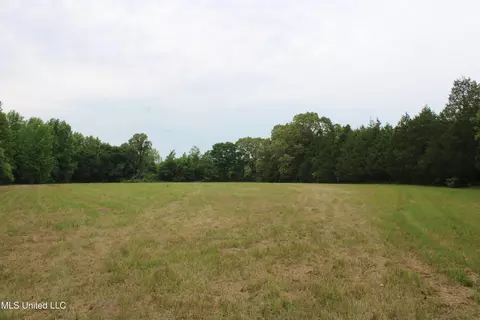 656 Sunset Dr, Coldwater, MS 38618 photo 37