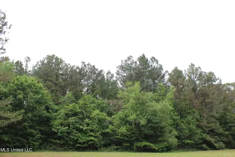 656 Sunset Dr, Coldwater, MS 38618 photo 27