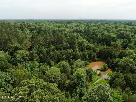 656 Sunset Dr, Coldwater, MS 38618 photo 3