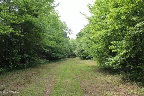 656 Sunset Dr, Coldwater, MS 38618 photo 29