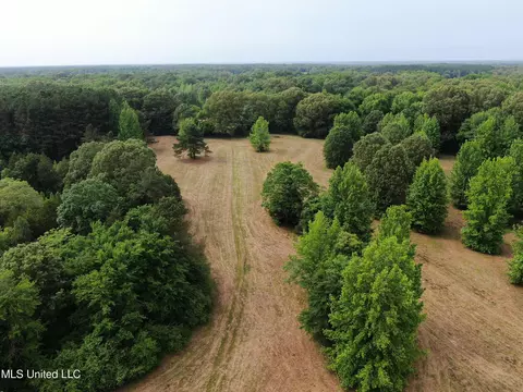 656 Sunset Dr, Coldwater, MS 38618 photo 2