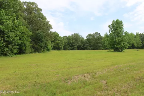 656 Sunset Dr, Coldwater, MS 38618 photo 22