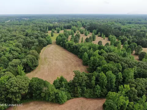 656 Sunset Dr, Coldwater, MS 38618 photo 9