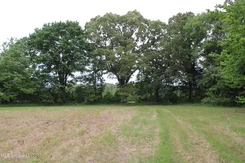 656 Sunset Dr, Coldwater, MS 38618 photo 38