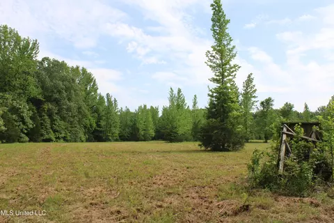 656 Sunset Dr, Coldwater, MS 38618 photo 33