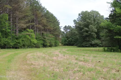 656 Sunset Dr, Coldwater, MS 38618 photo 17