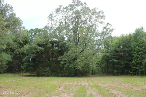 656 Sunset Dr, Coldwater, MS 38618 photo 18
