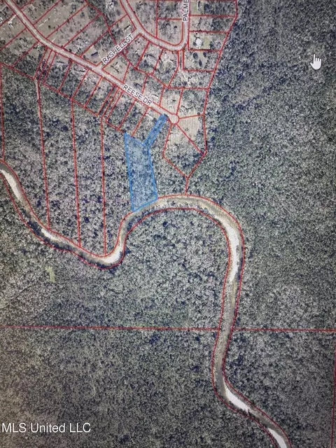18611 Reese Dr, Saucier, MS 39574 photo 3