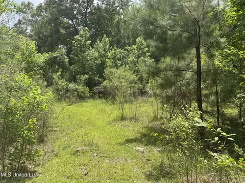 18611 Reese Dr, Saucier, MS 39574 photo 9