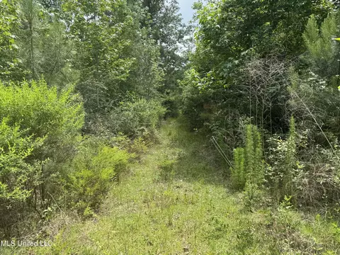18611 Reese Dr, Saucier, MS 39574 photo 8