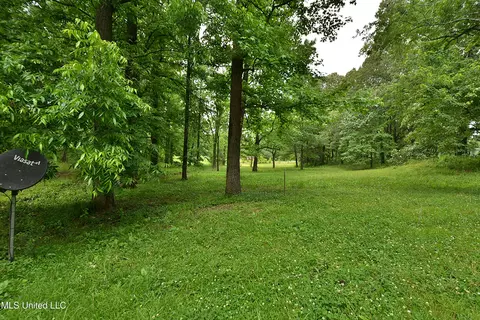 Exterior - 3490 Sherrod Rd, Nesbit, MS 38651 photo 13 of 13