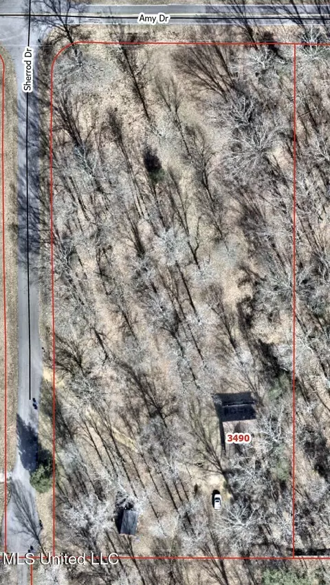 Other - 3490 Sherrod Rd, Nesbit, MS 38651 photo 6 of 6