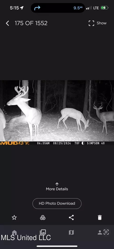 242 Dan George Rd, Mendenhall, MS 39114