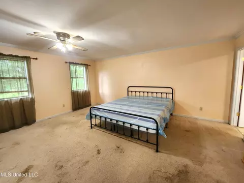 3850 E Plum Point Dr, Olive Branch, MS 38654 photo 13