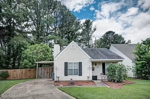12 S Brandy Ct, Brandon, MS 39047