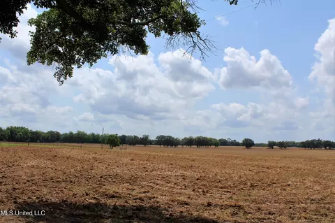 76 7 Acres Highway 613, Lucedale, MS 39452 photo 6