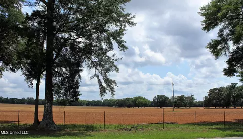 76 7 Acres Highway 613, Lucedale, MS 39452 photo 8