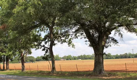 76 7 Acres Highway 613, Lucedale, MS 39452