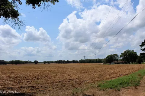76 7 Acres Highway 613, Lucedale, MS 39452 photo 4