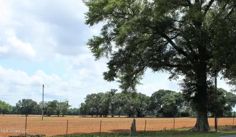 76 7 Acres Highway 613, Lucedale, MS 39452 photo 9
