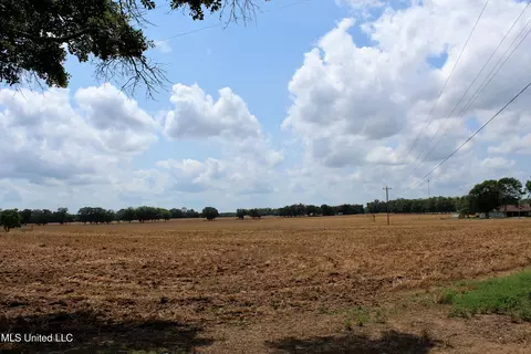 76 7 Acres Highway 613, Lucedale, MS 39452 photo 5