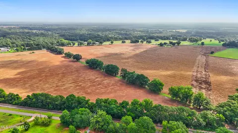 76 7 Acres Highway 613, Lucedale, MS 39452 photo 15