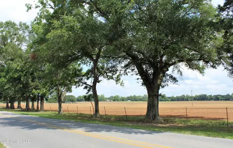 76 7 Acres Highway 613, Lucedale, MS 39452 photo 7