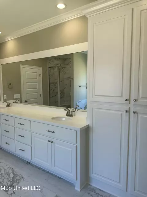 Bath - 448 Aurora Cir, Canton, MS 39046 photo 4 of 6