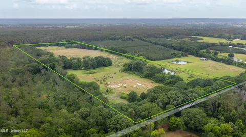 Horseshoe Lane, Flora, MS 39071 photo 5