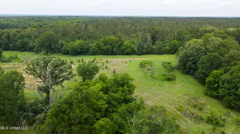 Horseshoe Lane, Flora, MS 39071 photo 10