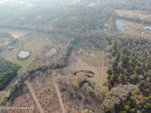 Horseshoe Lane, Flora, MS 39071 photo 22