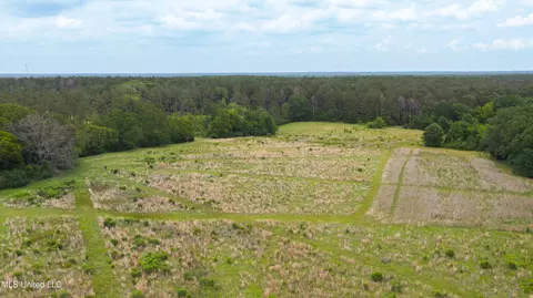 Horseshoe Lane, Flora, MS 39071 photo 12