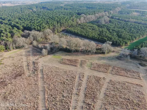 Horseshoe Lane, Flora, MS 39071 photo 20