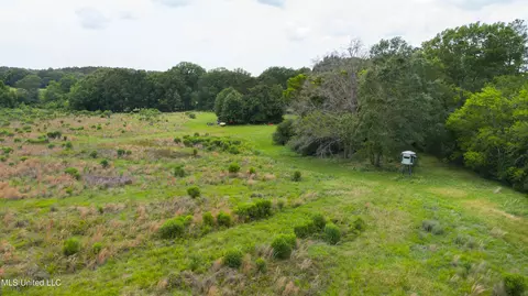 Horseshoe Lane, Flora, MS 39071 photo 15