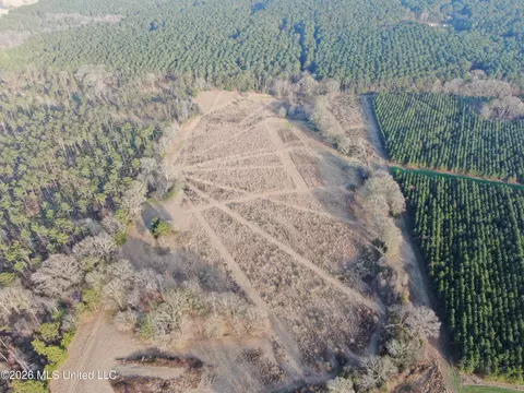 Horseshoe Lane, Flora, MS 39071 photo 23
