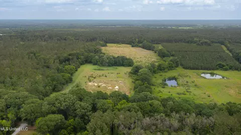 Horseshoe Lane, Flora, MS 39071 photo 2