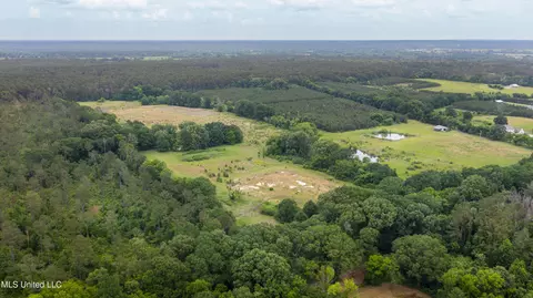 Horseshoe Lane, Flora, MS 39071 photo 3