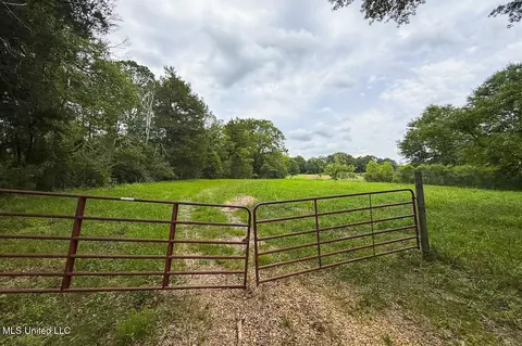 Horseshoe Lane, Flora, MS 39071 photo 18
