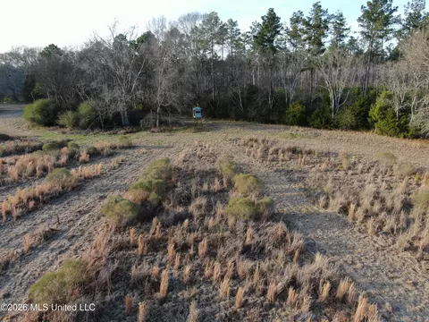 Horseshoe Lane, Flora, MS 39071 photo 28