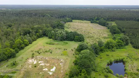 Horseshoe Lane, Flora, MS 39071 photo 6