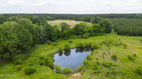 Horseshoe Lane, Flora, MS 39071 photo 8