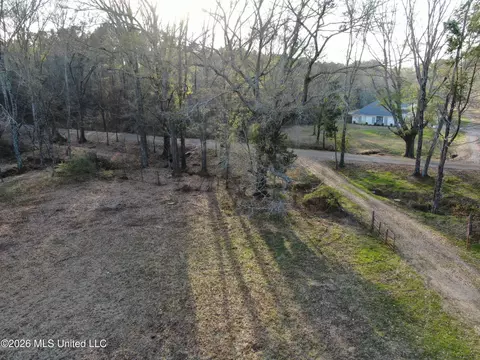 Horseshoe Lane, Flora, MS 39071 photo 27