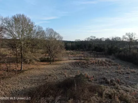 Horseshoe Lane, Flora, MS 39071 photo 25