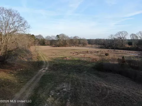 Horseshoe Lane, Flora, MS 39071 photo 26