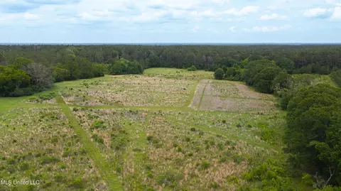 Horseshoe Lane, Flora, MS 39071 photo 11